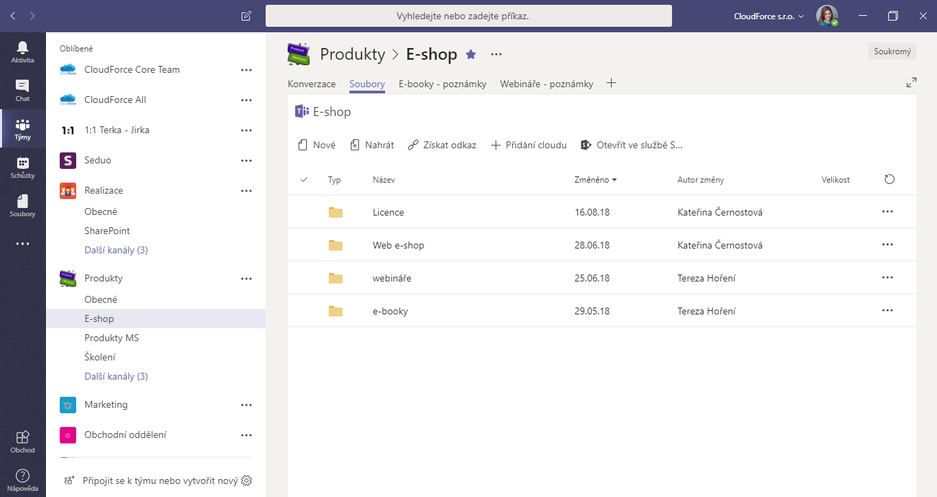 Knihovna na SharePointu v MS Teams